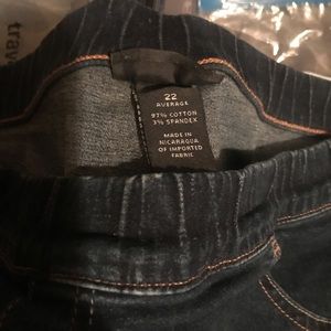 Lane Bryant Skinny Jeans